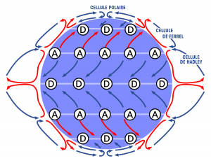 cellule de ferrel